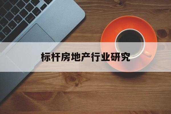 喀什市标杆房地产行业研究(房地产领域的标杆人物)