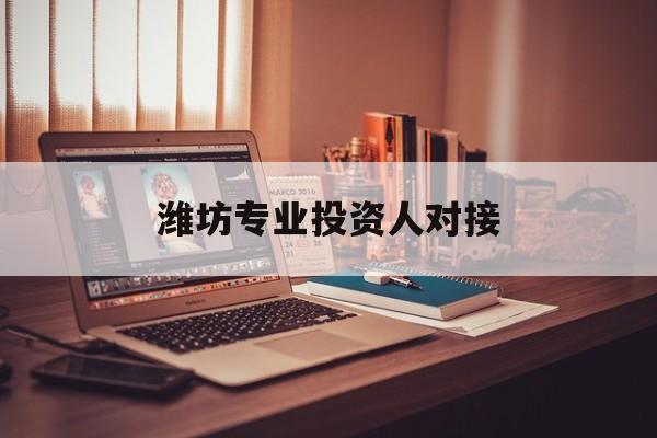 喀什市潍坊专业投资人对接(潍坊专业投资人对接中心)