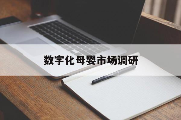 喀什市数字化母婴市场调研(数字化母婴市场调研报告)